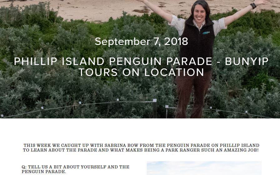 penguin_parade